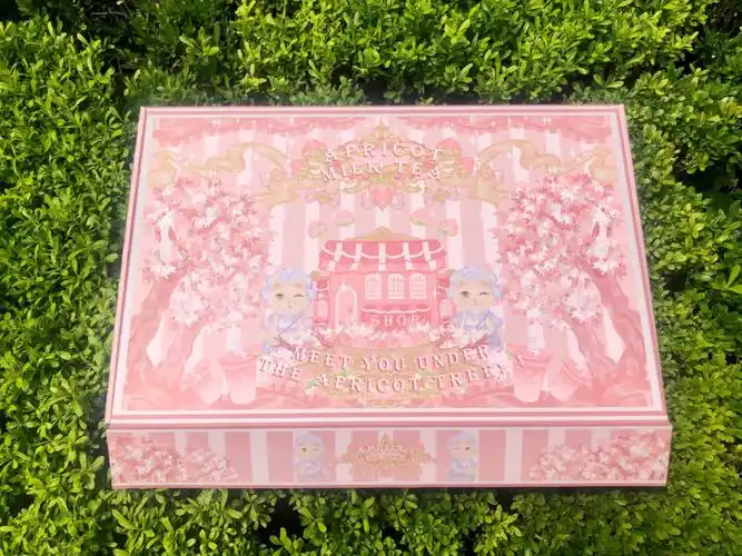 多漂亮的jk飞机盒名札都可惜了