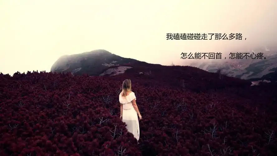 是时候该放手了的句子