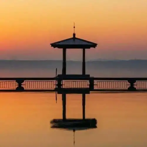 30张微信头像,有花有草有风景,太好看了