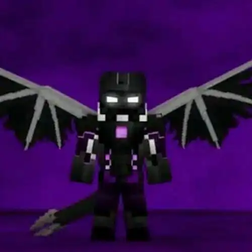 him和末影女王和可可的故事