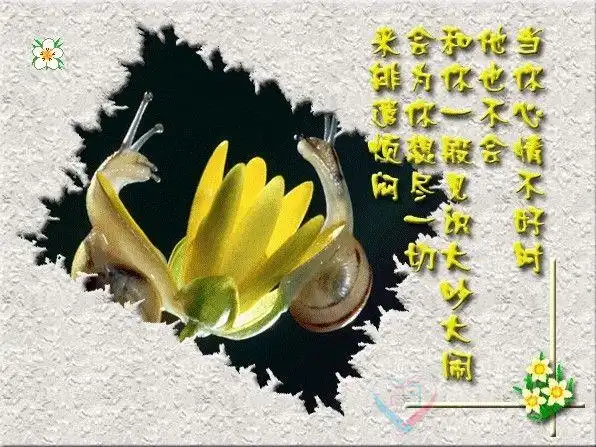 人生难得一知己 千古知音最难觅