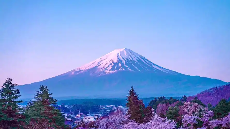 富士山下_风景_poco摄影,旅行之美
