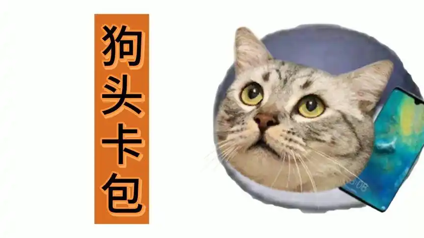 爱哭泣的钻石狗头