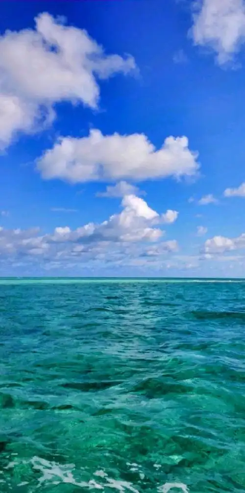 唯美图片 #自然美景无限好 #欣赏美图美景