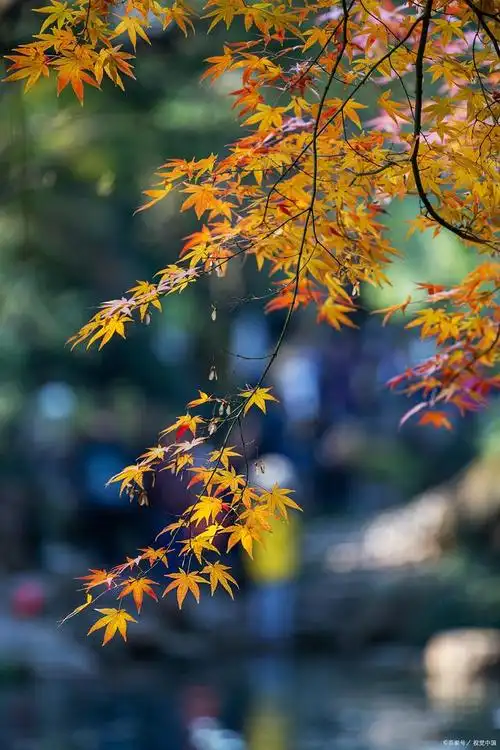 没有天生的好口才背下来你也能口吐莲花