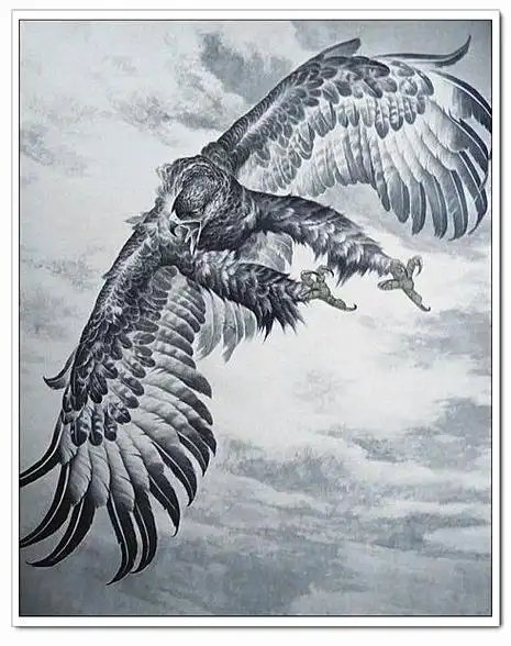 鹰姿神态张策雄鹰绘画作品大观
