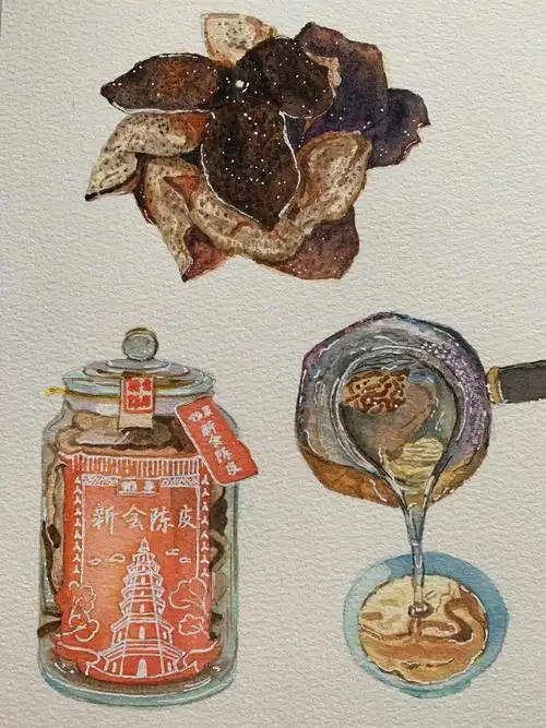 水彩手绘陈皮