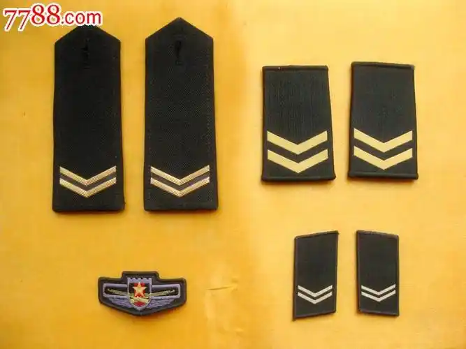 全套上等兵(加垫版)-价格:80元-se22315321-老肩章/领章/领花-零售
