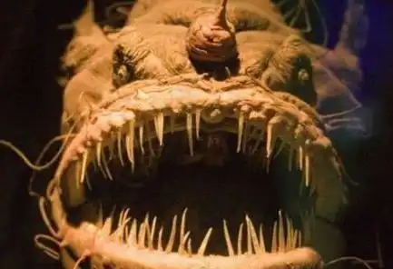 最恐怖的十大深海生物 长着锋利的獠牙