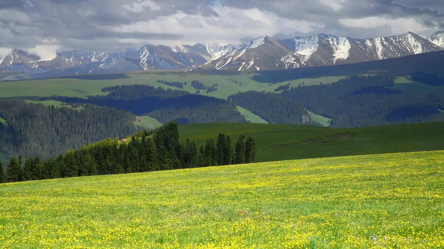 清新唯美护眼自然风光桌面壁纸高清大图预览1920x1080_风景壁纸下载