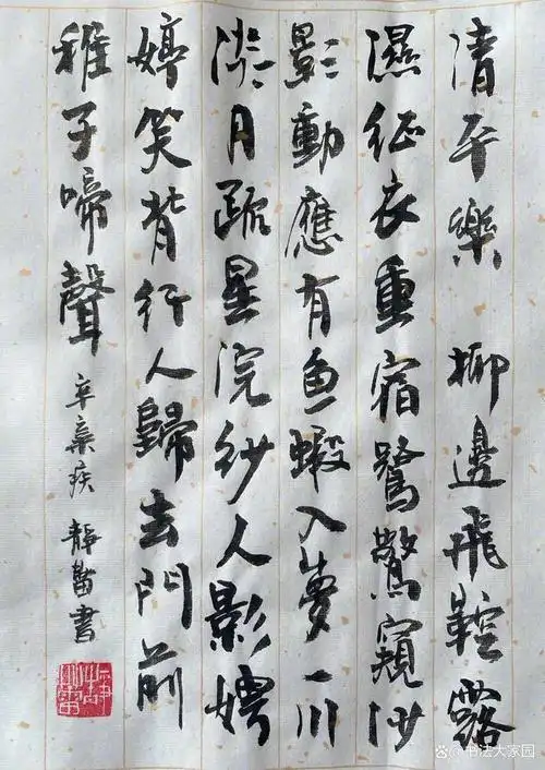 这是很多朋友看到她书法的第一感受,众所周知,女神徐静蕾,虽然是一名