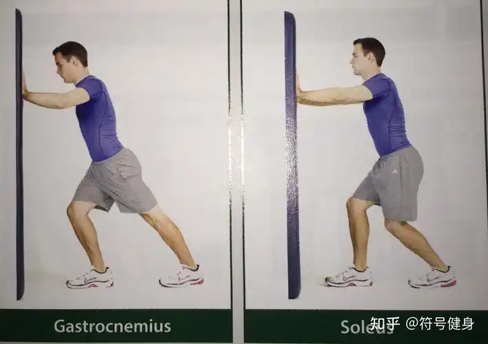 三,如何缓解小腿三头肌的紧张