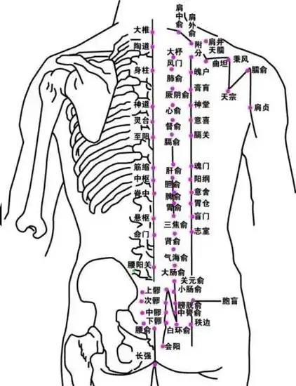 疗效显著!|睡眠|督脉|刮痧