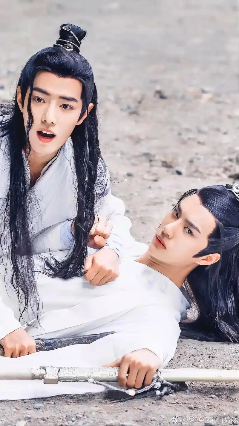 陈情令肖战王一博 #我想带一人回云深不知处 #青山不改绿水 - 抖音