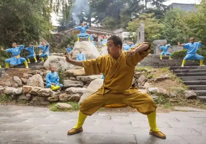 少林功夫一招一式皆传奇