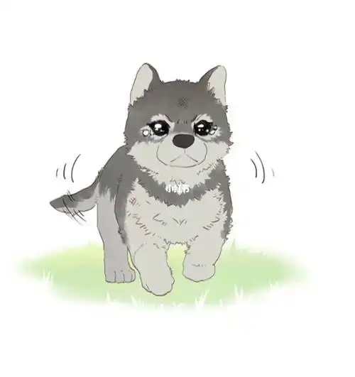 这个小狼脏兮兮的太可爱了吧