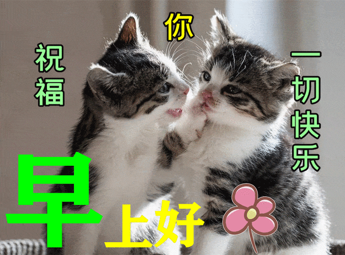 3月5日漂亮的早上好动态表情图片大全早上好祝福动态美图大全