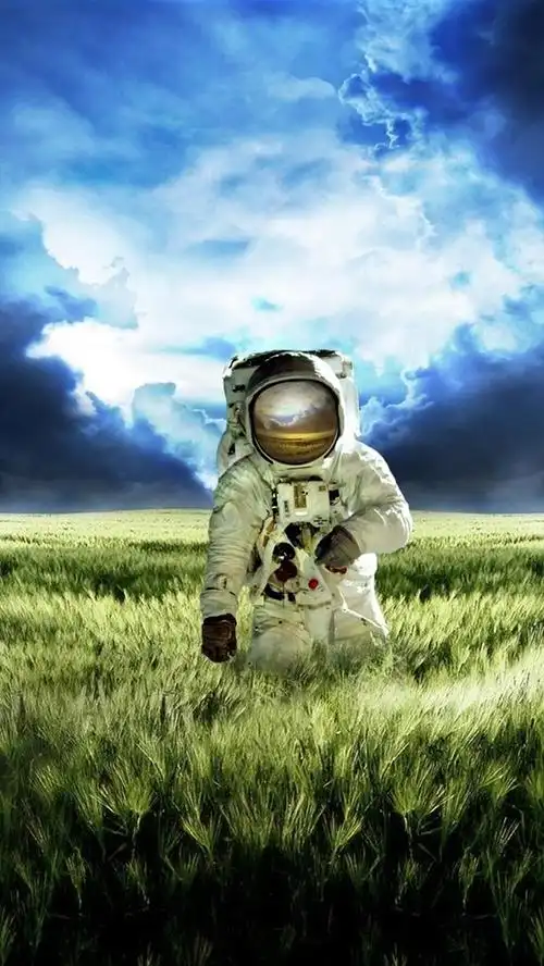 宇航员在广阔的绿色草原上