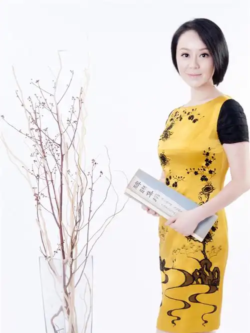 视频|2017smg名,优播音员主持人候选人-沈婷(电视)