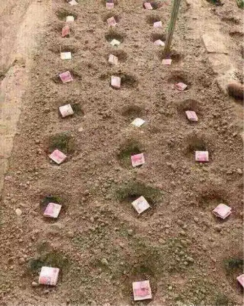 上班太累了 春天到了,种点钱 希望等到秋天有好的收获!