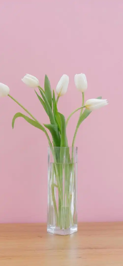 一些"清新花花"手机壁纸!