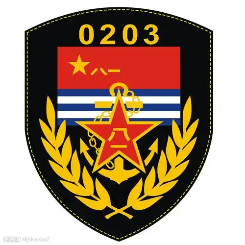 中国人民解放军海军图片