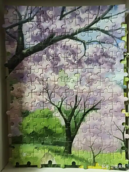 1000块拼图8完工成品