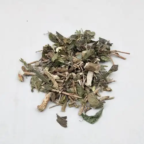 六月雪野生六月雪白马骨满天星硫500g