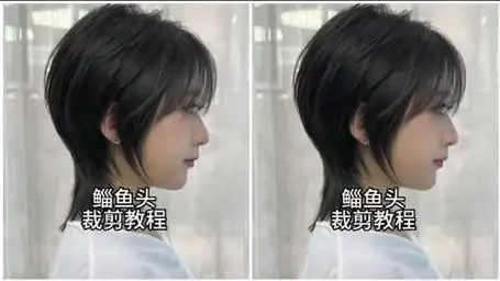 鲻鱼头裁剪教程