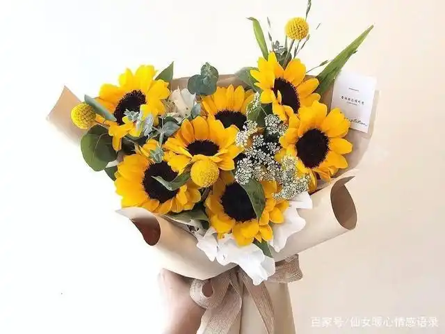 适合国际护士节发朋友圈的走心句子,致敬可爱的白衣天使!