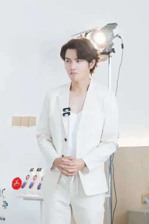 钟汉良代言tineco添可