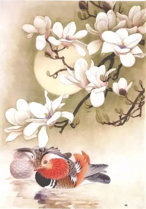 图文教程——工笔玉兰画法