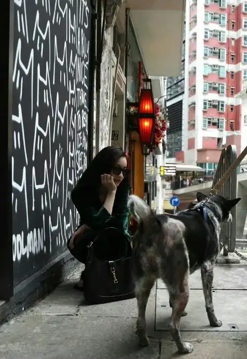 倪妮分享生活随拍##倪妮墨绿色套装造型