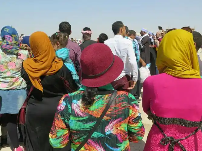 在圈外看着这些围观的背影是不是也很美丽?