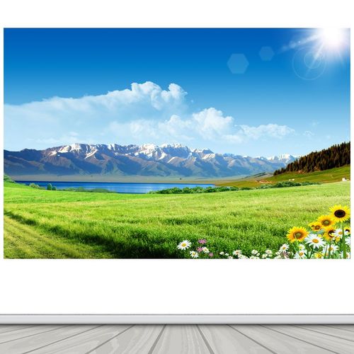 阳光草地湖泊蓝天白云高山雪山小花墙贴自粘客厅风景画装饰画贴纸