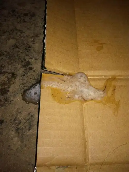 这是狗狗吐的白色泡沫物,今天晚上一直吐,但是没有拉如何东西.