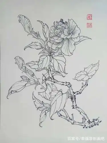 第七百七十三幅——扶桑(中性笔白描花卉习作)