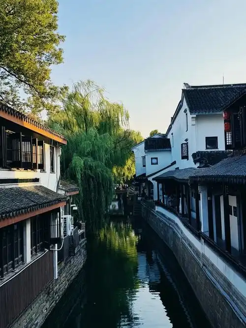 "一朝入姑苏 满眼是江南"#苏州 #谁不喜欢这满屏诗画之地 - 抖音