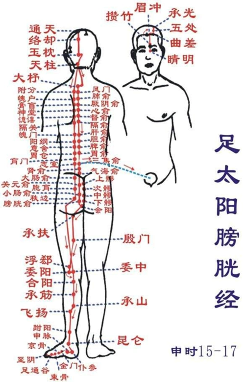 圣透灸足太阳膀胱经bladder