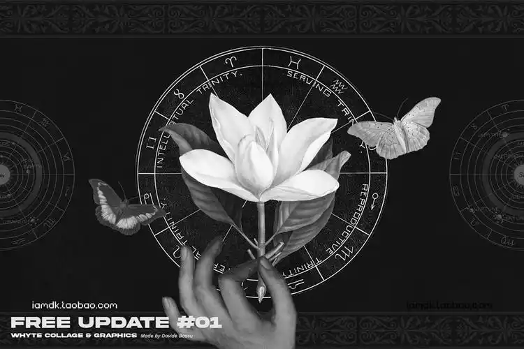 270款潮流复古黑白石膏像植物动物摆件拼贴png免抠图片设计素材 whyte