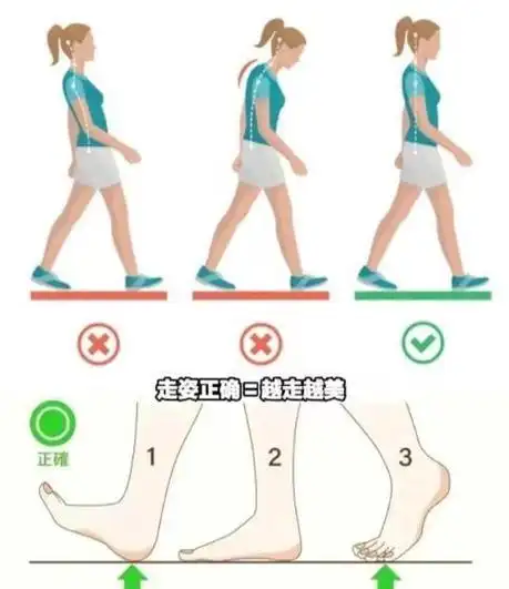 走路姿势如果不对,不仅看着不太好看,时间长了还可能让腿型走样,小腿