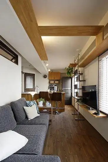 日本55㎡小户型更显"范"