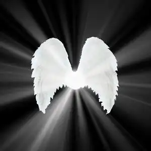 在黑色的背景光,白色的守护天使翅膀.r照片