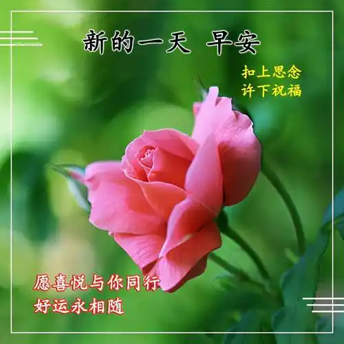 原创清早特别好看的早安图片早上好问候语经典大全