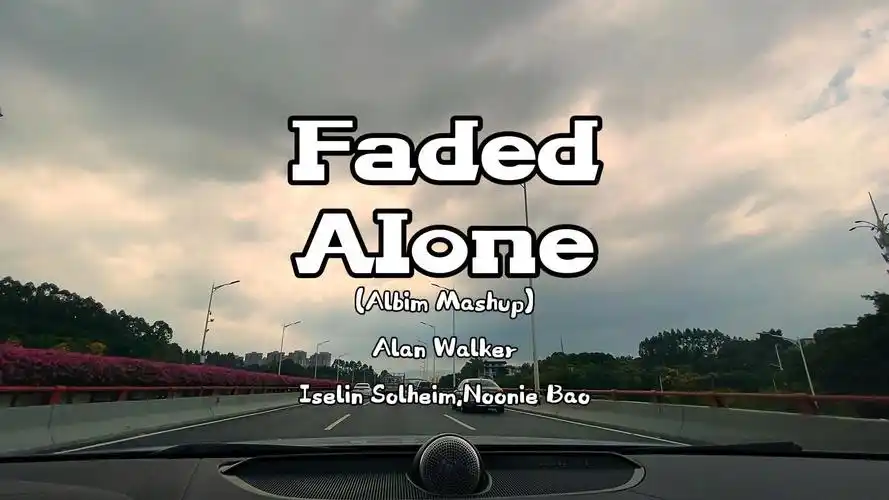 顶级电音神曲【alan walker,iselin solheim,noonie bao《faded02