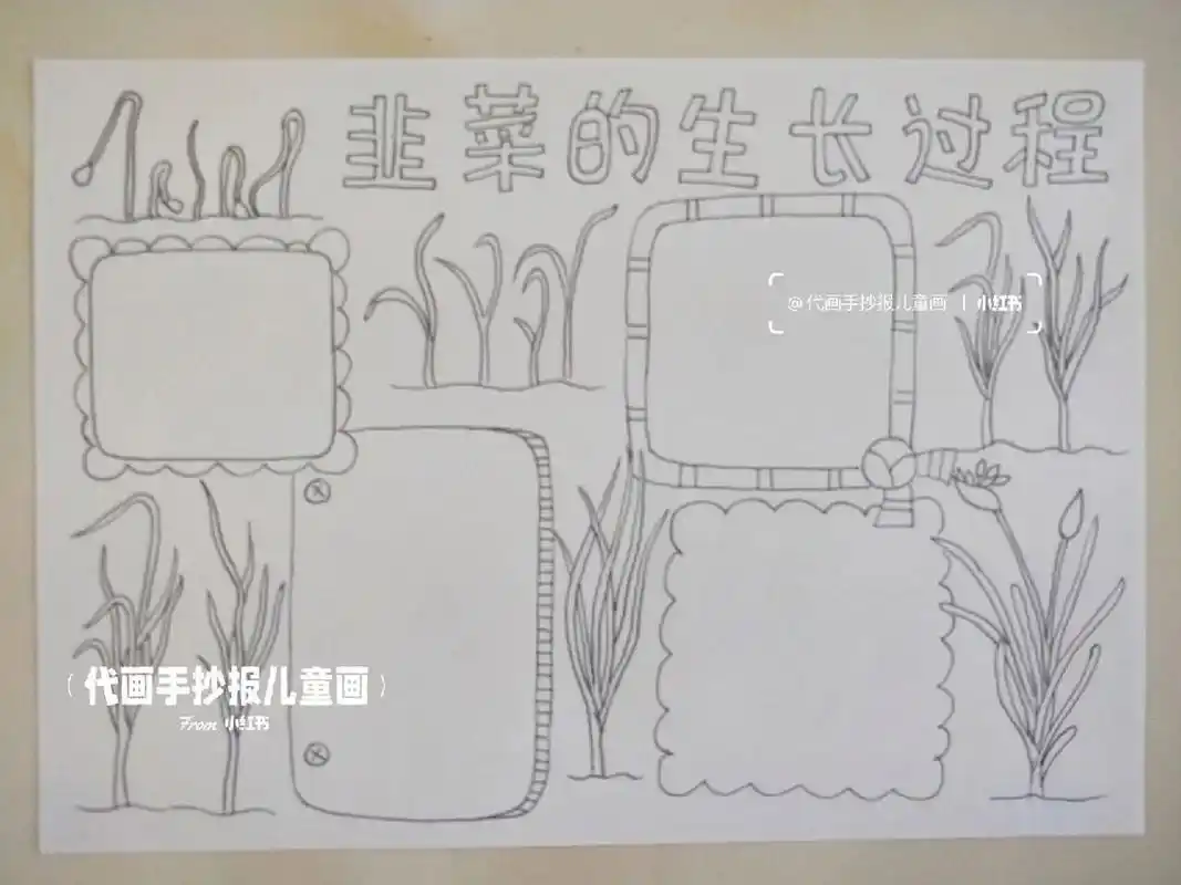 植物笔记——韭菜 #原创# #代画# #手抄报# #植物# #韭菜日记# #儿童