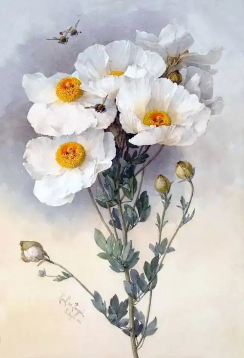 大师级的水彩画