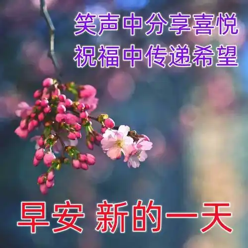 早上好图片带字语录,新的一天早安问候祝福语大全简短语句_人生_向前