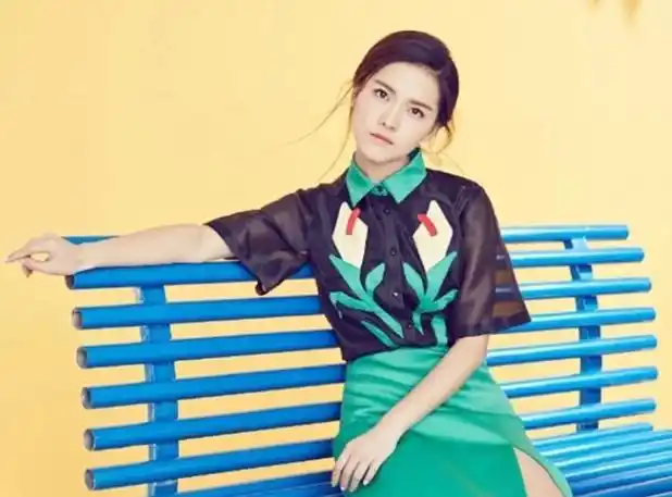 王洋为什么不演戏了?