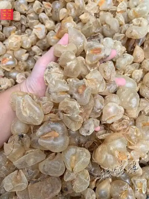 目鱼肚鸡泡胶500g鱼胶花胶干货深海非即食花胶奶冻花胶鸡汤鱼肚新鲜